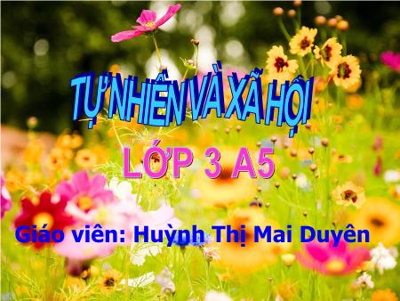 Bài giảng Tự nhiên và xa hội Lớp 3 - Bài 59: Trái đất. Quả địa cầu - Huỳnh Thị Mai Duyên
