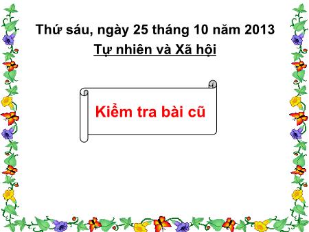 Bài giảng Tự nhiên và xã hội Lớp 3 - Bài: Họ nội, họ ngoại