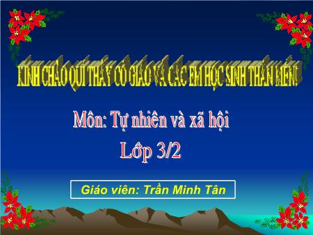 Bài giảng Tự nhiên và xã hội Lớp 3 - Bài: Một số hoạt động ở trường - Trần Minh Tân