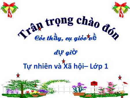 Bài giảng Tự nhiên xã hội Lớp 1 - Bài: An toàn trên đường (Tiết 1) - Năm học 2020-2021
