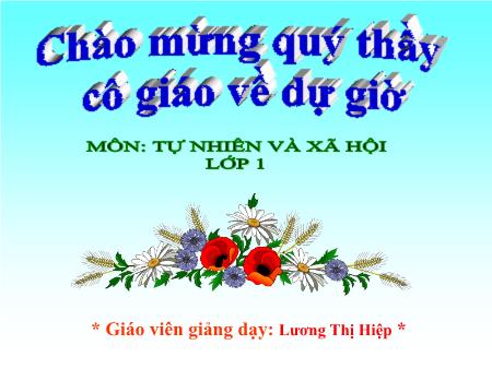 Bài giảng Tự nhiên xã hội Lớp 1 - Bài: Giữ gìn lớp học sạch, đẹp - Lương Thị Hiệp