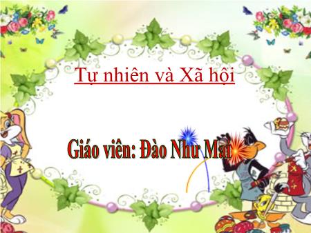 Bài giảng Tự nhiên xã hội Lớp 2 - Bài: Vệ sinh cơ quan bài tiết nước tiểu - Năm học 2018-2019 - Đào Như Mai
