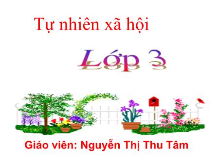 Bài giảng Tự nhiên xã hội Lớp 3 - Bài 23: Phòng cháy khi ở nhà - Nguyễn Thị Thu Tâm