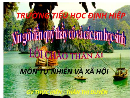 Bài giảng Tự nhiên xã hội Lớp 3 - Bài: Ôn tập con người và sức khỏe - Thân Thị Duyên