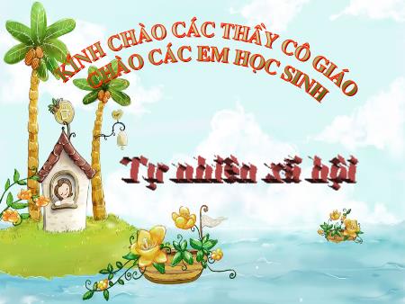 Bài giảng Tự nhiên xã hội Lớp 3 - Bài: Quả - Năm học 2014-2015