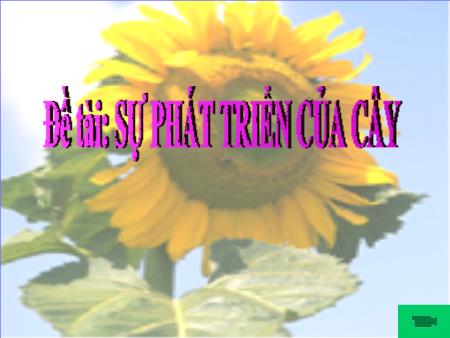 Đề tài Sự phát triển của cây