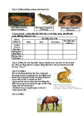 Đề thi môn Sinh học Lớp 7 (Có đáp án)
