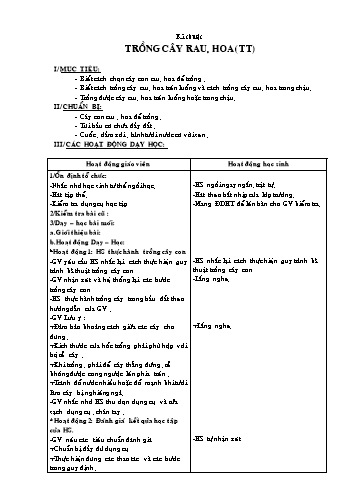 Giáo án môn Kĩ thuật Lớp 4 - Tuần 23 - Bài: Trồng cây rau, hoa (Tiếp theo)