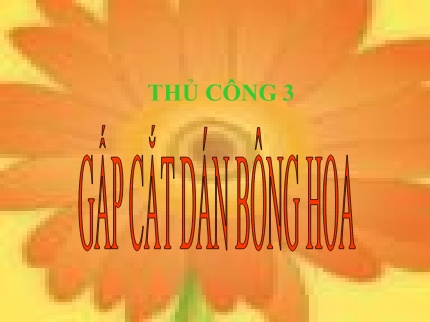 Giáo án môn Thủ công Lớp 3 - Bài: Gấp, cắt dán bông hoa
