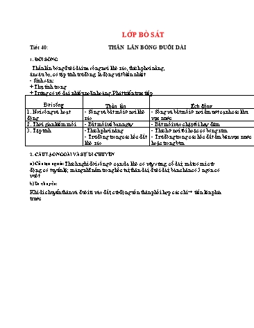 Giáo án Sinh học Lớp 7 - Tiết 40-50: Lớp bò sát